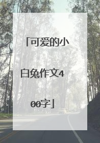 可爱的小白兔作文400字