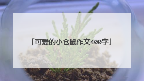 可爱的小仓鼠作文400字