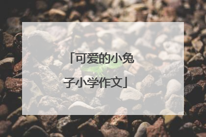 可爱的小兔子小学作文