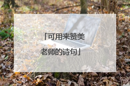 可用来赞美老师的诗句