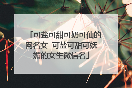 可盐可甜可奶可仙的网名女 可盐可甜可妩媚的女生微信名