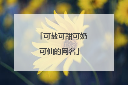 可盐可甜可奶可仙的网名
