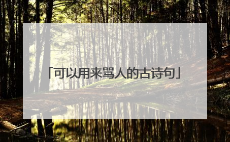 可以用来骂人的古诗句