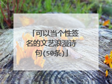 可以当个性签名的文艺浪漫诗句(50条)