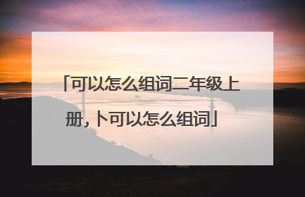 可以怎么组词二年级上册,卜可以怎么组词