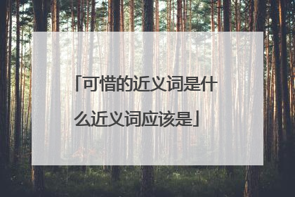 可惜的近义词是什么近义词应该是