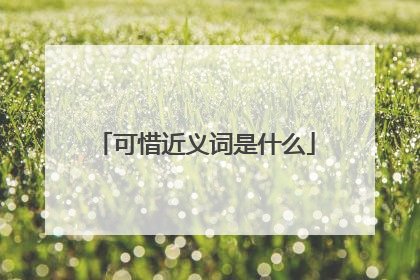 可惜近义词是什么