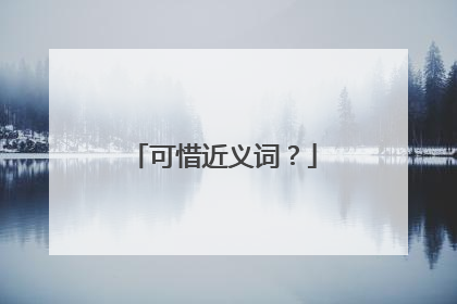 可惜近义词?
