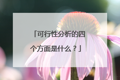 可行性分析的四个方面是什么?