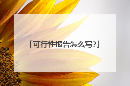 可行性报告怎么写?