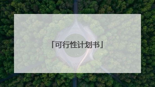 可行性计划书