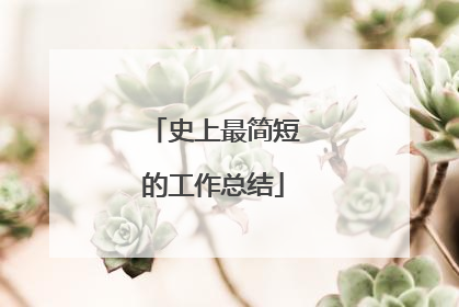史上最简短的工作总结