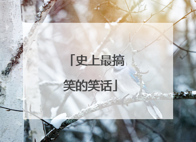 史上最搞笑的笑话