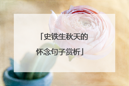 史铁生秋天的怀念句子赏析
