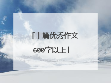 十篇优秀作文600字以上