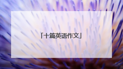 十篇英语作文