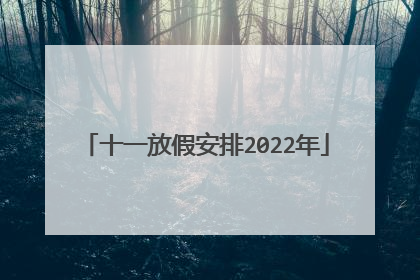 十一放假安排2022年