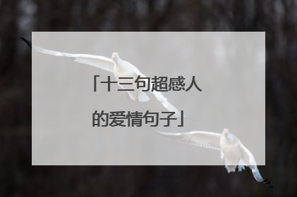 十三句超感人的爱情句子