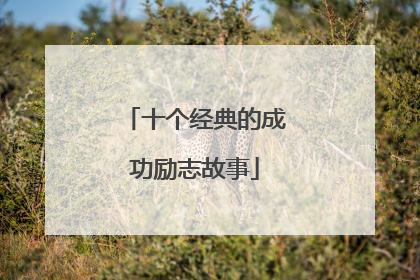 十个经典的成功励志故事
