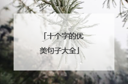 十个字的优美句子大全
