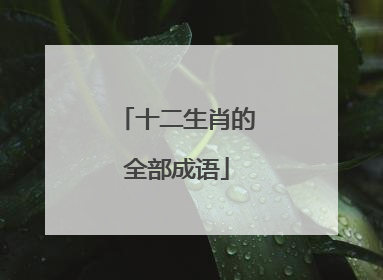 十二生肖的全部成语