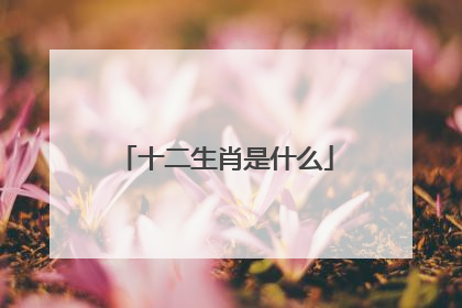 十二生肖是什么