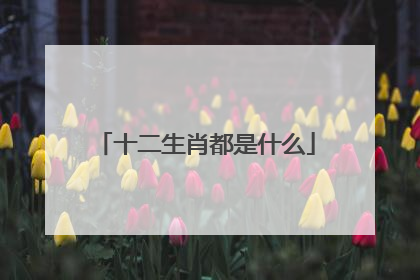 十二生肖都是什么