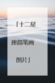 十二星座简笔画图片