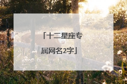 十二星座专属网名2字