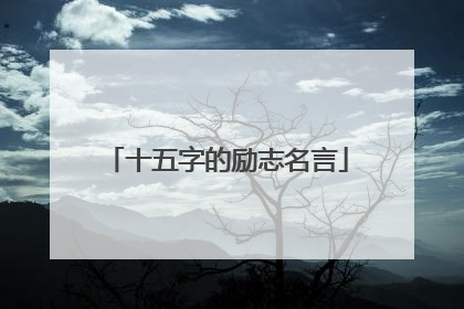 十五字的励志名言