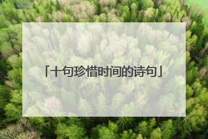 十句珍惜时间的诗句