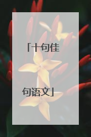 十句佳句语文