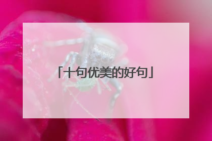 十句优美的好句