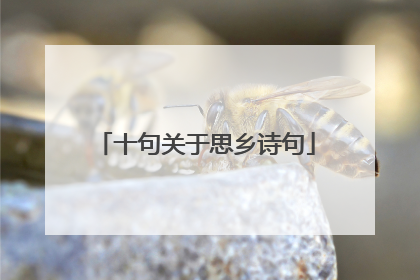 十句关于思乡诗句