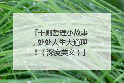十则哲理小故事,处处人生大道理!(深度美文)