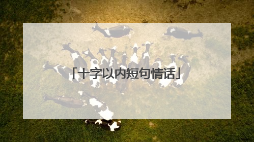 十字以内短句情话