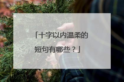 十字以内温柔的短句有哪些?