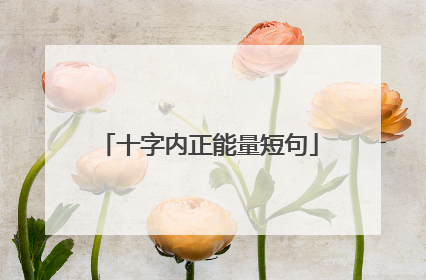十字内正能量短句