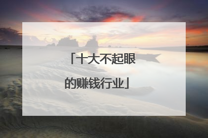 十大不起眼的赚钱行业