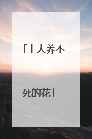 十大养不死的花