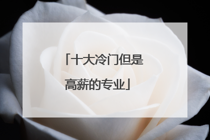 十大冷门但是高薪的专业