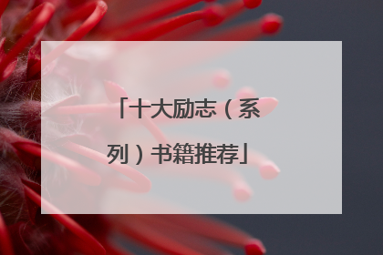 十大励志（系列）书籍推荐