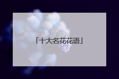 十大名花花语