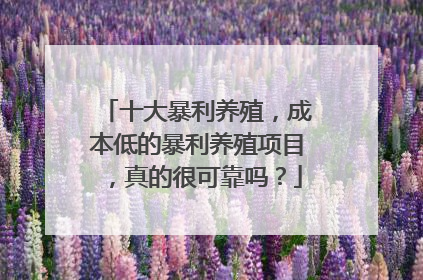 十大暴利养殖,成本低的暴利养殖项目,真的很可靠吗?