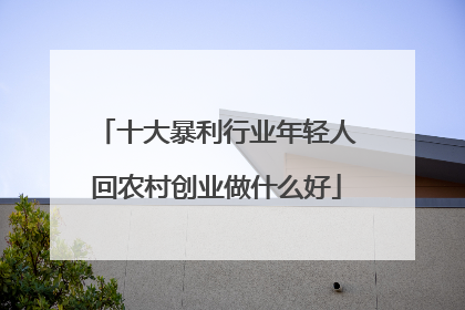 十大暴利行业年轻人回农村创业做什么好