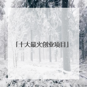 十大最火创业项目
