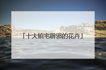 十大镇宅辟邪的花卉