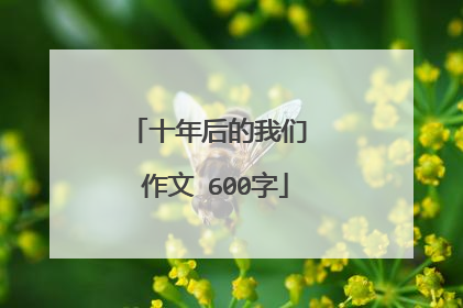 十年后的我们 作文 600字