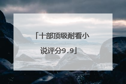 十部顶级耐看小说评分9.9