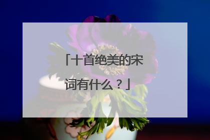 十首绝美的宋词有什么？
